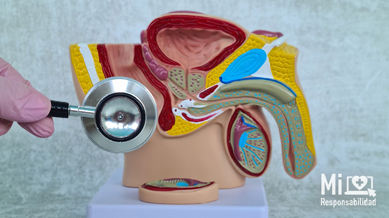 salud sexual masculina